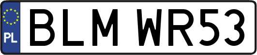 BLMWR53