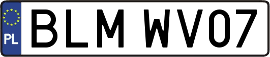 BLMWV07