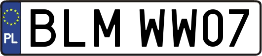 BLMWW07