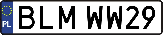 BLMWW29