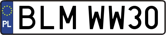 BLMWW30