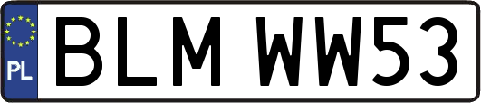 BLMWW53