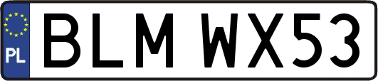 BLMWX53