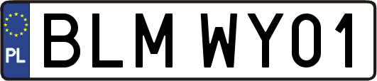 BLMWY01