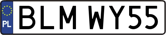 BLMWY55