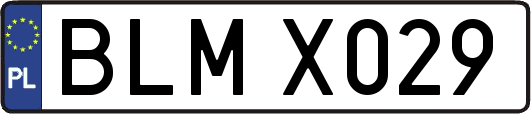 BLMX029