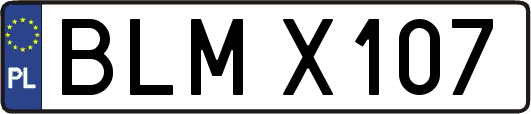 BLMX107