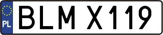 BLMX119