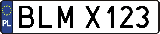 BLMX123