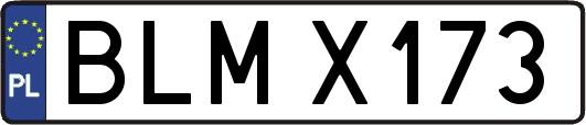 BLMX173