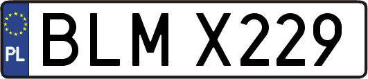 BLMX229