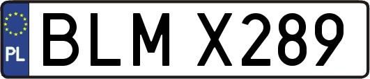BLMX289
