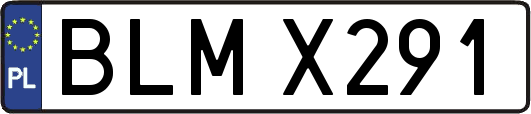BLMX291