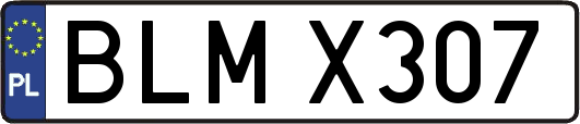 BLMX307