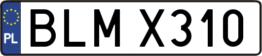 BLMX310