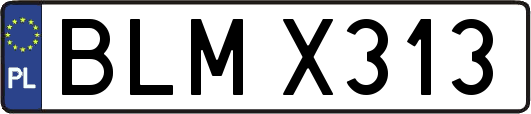 BLMX313