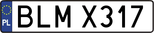 BLMX317