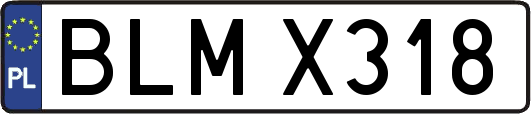 BLMX318