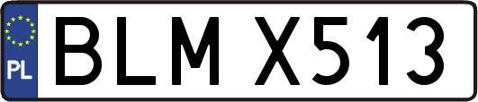 BLMX513