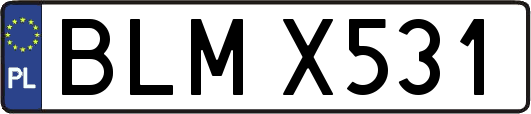 BLMX531
