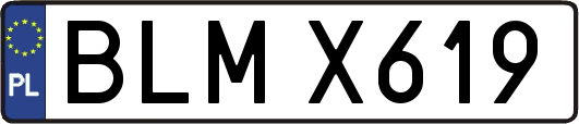 BLMX619