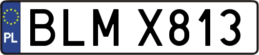 BLMX813