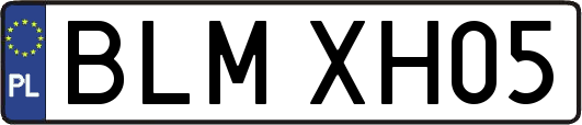 BLMXH05