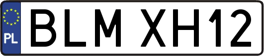 BLMXH12