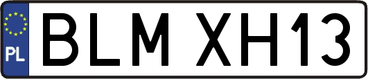BLMXH13