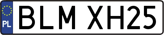 BLMXH25