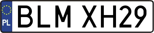 BLMXH29