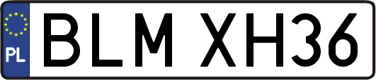 BLMXH36