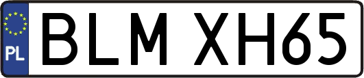 BLMXH65