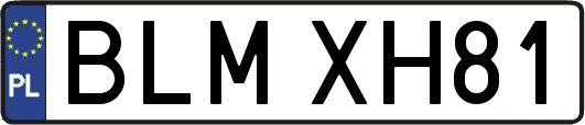 BLMXH81