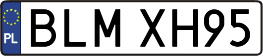 BLMXH95