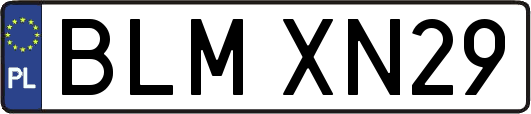 BLMXN29