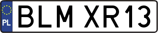 BLMXR13