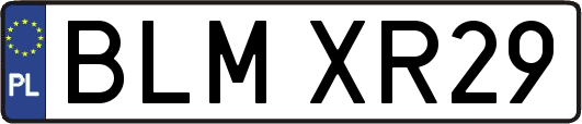 BLMXR29