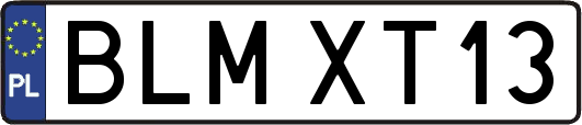 BLMXT13