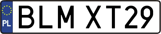 BLMXT29