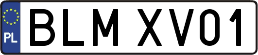 BLMXV01