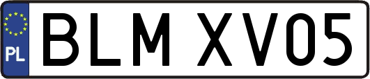 BLMXV05