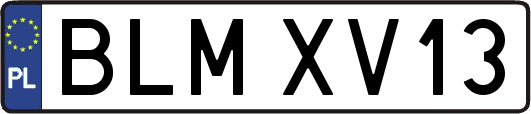 BLMXV13