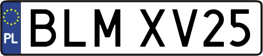 BLMXV25