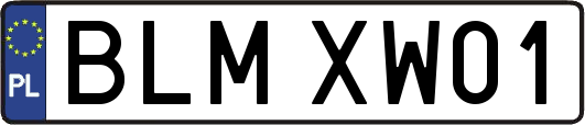 BLMXW01