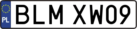 BLMXW09