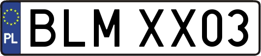 BLMXX03