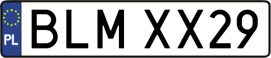 BLMXX29