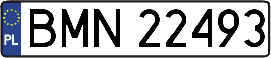 BMN22493