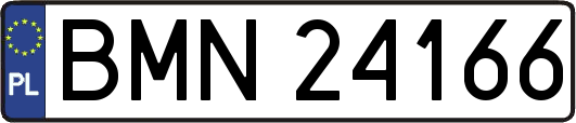 BMN24166